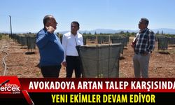 Tarım Bakanı Oğuz yeni kurulan avokado bahçesini ziyaret etti
