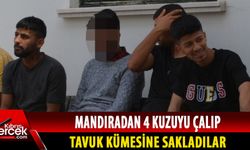 Hayvan hırsızları 2 gün tutuklu kalacak