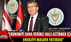 Serhatköy’e 25 megavatlık güneş enerjisi santrali kurulacak