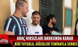 "Araç Hırsızlığı ve Kasti Hasar: Tutuklanan Zanlılar Mahkemeye Sevk Edildi"