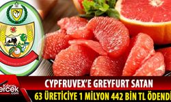 Greyfurt Ürününü Cypfruvex’e Satan Üreticilerin Ödemeleri Yapıldı