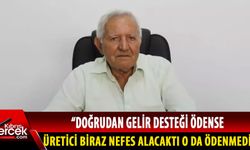 Akçın, hükümeti eleştirdi