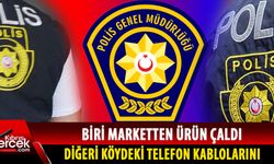 Köyde telefon kablosu, şehirde market hırsızlığı...