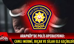 Arapköy'de hareketli saatler: 20 ile 26 yaşlarında 10 kişi tutuklandı