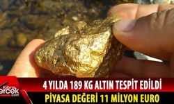 Güney Kıbrıs’ta 61 yerde altın aranıyor