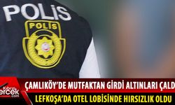 Çamlıköy ve Lefkoşa'da hırsızlık!