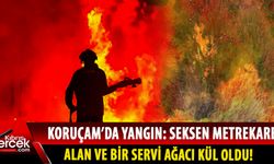 Koruçam'da yangın: Yangına sebep olan kişi tutuklandı!