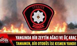 Girne'de yangın: 3 dönümlük arazi yandı!