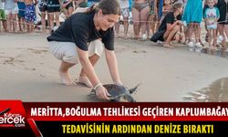Girne'de kaplumbağa yaşama döndürüldü!