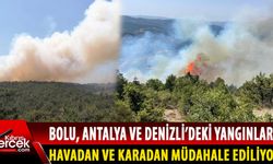 Türkiye'de 3 ilde orman yangını!