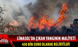 Limasol yangının bilançosu Güney'e ağır!