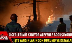Türkiye'de yangın felaketlerinin ardı arkası kesilmiyor!
