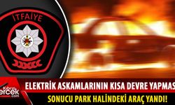 Park halinde bulunan araç yandı!