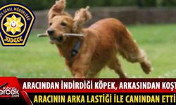 Gemikonağı'nda köpek aracın arka lastiği ile ezildi!