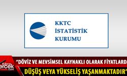 İstatistik Kurumu Başkanı: Fert başına düşen milli gelir ilk kez bu kadar kapsamlı ve gerçek verilere göre hesaplandı