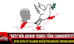 KKTC İnsan Hakları Derneği, "Kıbrıs Türk Cumhuriyeti' veya Devleti"