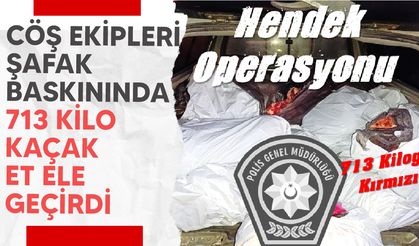 CÖŞ'ten Demirhan'da şafak operasyonu: 713 kg kaçak et ele geçirildi!
