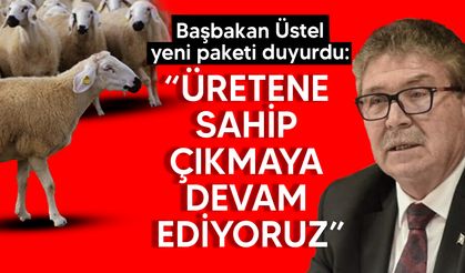 Üreticilere damızlık küçükbaş için yeni kredi paketi açıklandı!