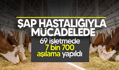 Şap hastalığıyla mücadele devam ediyor!