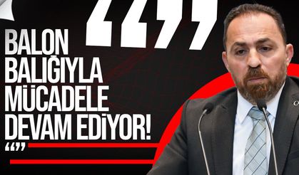 Çavuş: “Narenciye Ödemeleri Hasadın Tamamlanmasının Ardından Başlayacak”