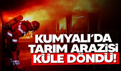 Doğanköy’de Ev Yangını, Kumyalı’da Tarım Arazisi Alevlere Teslim Oldu
