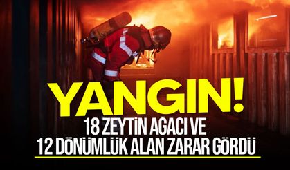 Güzelyurt-Kalkanlı yolunda yangın: 12 dönümlük alan zarar gördü