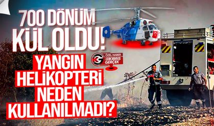 700 dönüm kül oldu... Gözler yangın helikopterini aradı!