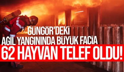 Güngör'deki ağıl yangınında büyük facia: 62 hayvan telef oldu