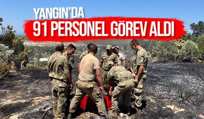 Kozanköy'deki yangın kontrol altına alındı