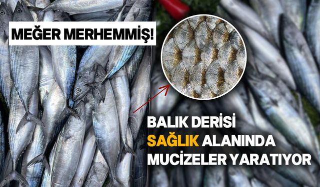 Balık derisinin şaşırtıcı faydaları