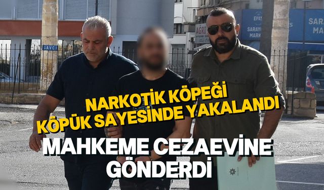 Ercan'da yakalanan zanlıya tutuklu yargılama kararı verildi!