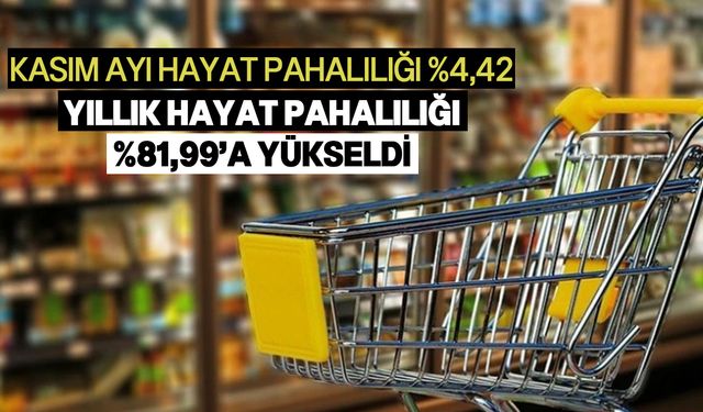 En yüksek artış haberleşme grubunda!