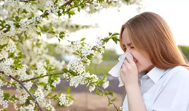 Güney Kıbrıs'ta halkın yüzde 20'si bahar alerjisinden muzdarip