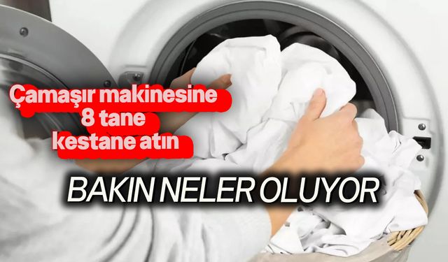 Deterjanlara sürekli para harcamak yerine bu yöntemi deneyebilirsiniz