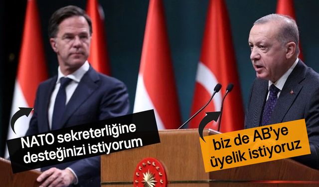 Cumhurbaşkanı Erdoğan, Rutte'yi kabul etti