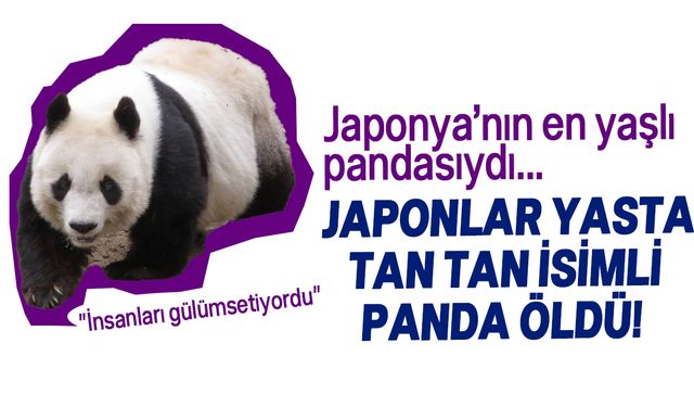 Japonya'nın en yaşlı pandası "Tan Tan" öldü