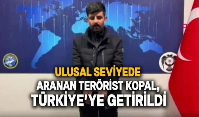 PKK’lı terörist Fransa'da yakalanarak Türkiye'ye getirildi