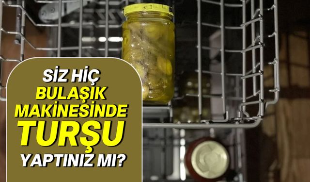 Turşuları bulaşık makinesine atın, 2 saatte nasıl hazırlanıyor görün…