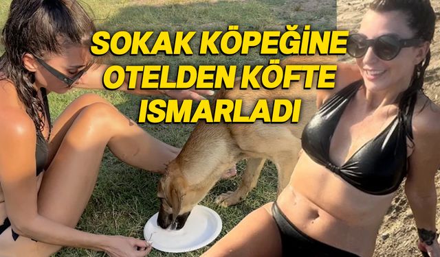 Hande Yener, plajda vatandaşların arasına sokarak, köpekle denize girdi