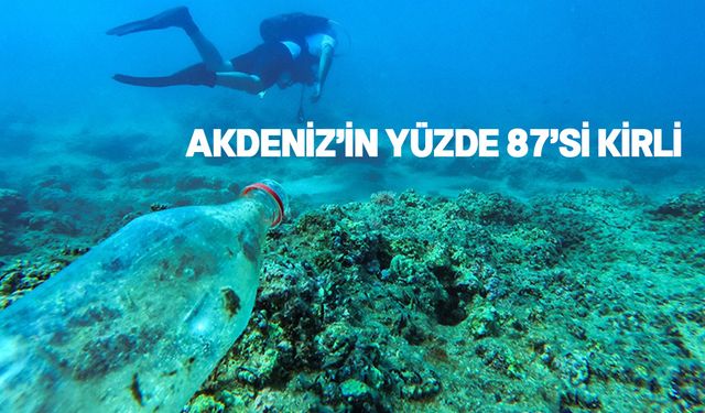 WWF, Uluslararası Akdeniz Günü'nde "Hasta Bir Çevrede Sağlık Olmaz" başlıklı rapor yayımladı