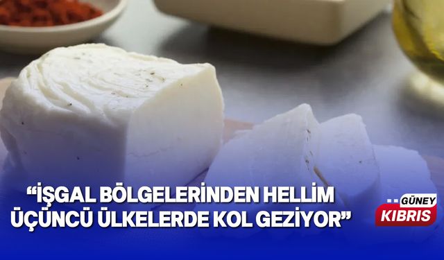 Hellim konusu Rum Meclisi Tarım Komitesi’nde ele alındı