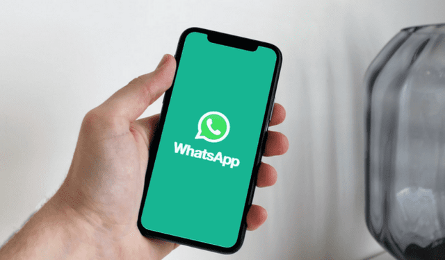 WhatsApp, iPhone uygulamasına eklenecek yeni sohbet temalarını duyurdu