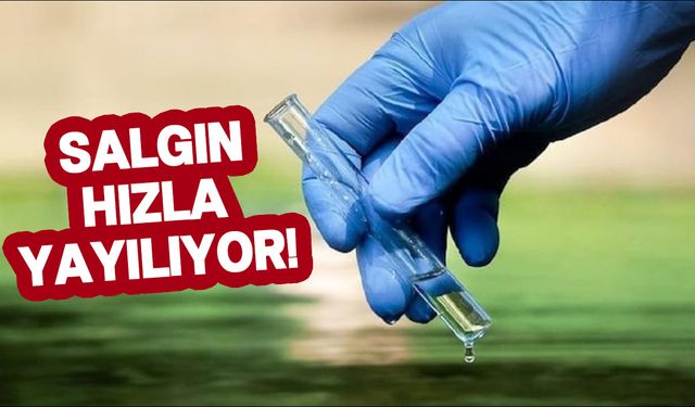 Yüzlerce kişi öldü, binlercesi etkilendi