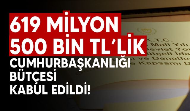 Cumhurbaşkanlığı bütçesi komitede oy çokluğuyla kabul edildi