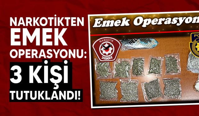 Emek Operasyonu kapsamında üç kişi gözaltına alındı!