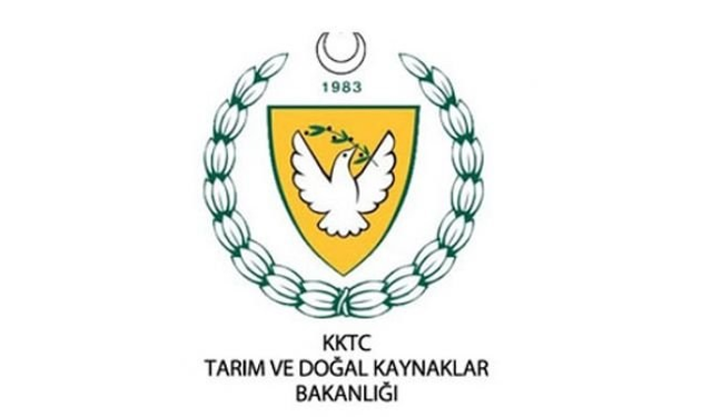 KIBRIS