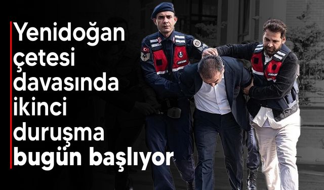 Türkiye'deki Yenidoğan Çetesi davasının ikinci duruşması bugün görülecek