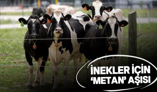 Jeff Bezos 9,4 milyon dolar yatırım yaptı