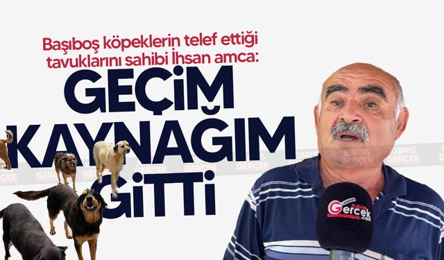 Geçitkale sakini Ali İhsan Sert isyan etti: “Ne belediye ne kaymakamlık ilgilendi”