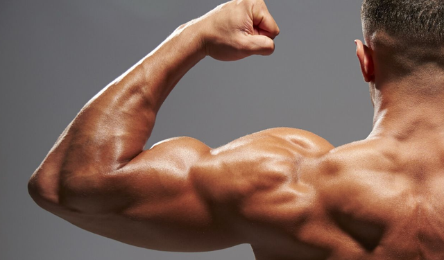 Kas Kütlesini Artıran Doğru Gıdalar